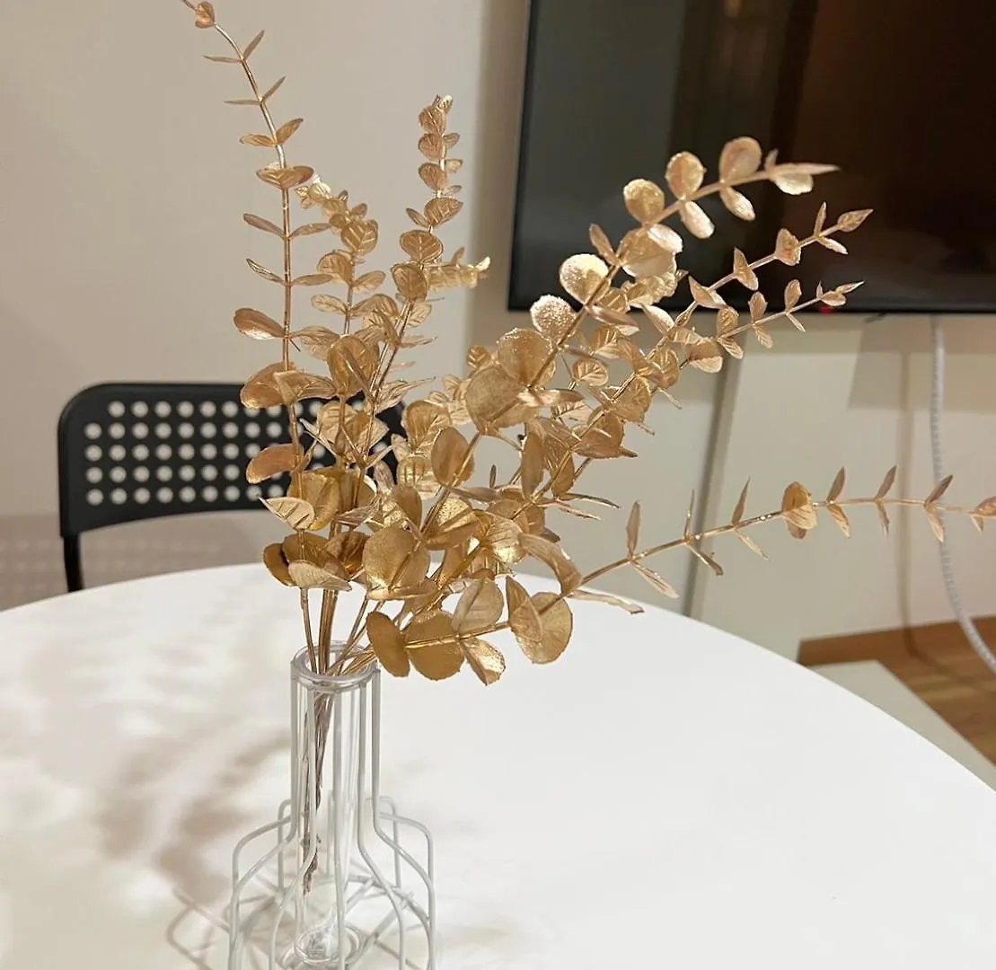 Guest house 渋谷eアドレス Hotel Tokyo Japan
